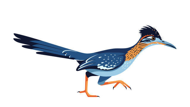 Cartoon Roadrunner Bird Illustration
