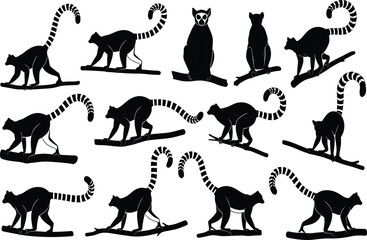 Ring tailed lemur silhouettes set showing wildlife animals walking sitting and climbing poses isolated on white background vector illustration © Nayan