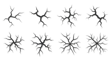 Obraz premium Collection of Artistic Black Tree Branch Silhouettes for Design and Creative Projects