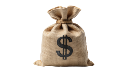 Single rustic jute money bag with a bold black dollar symbol imprinted on the front, natural burlap texture, financial savings and wealth concept, photographed with sharp focus and studio lighting iso