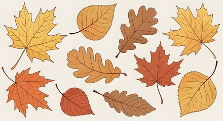 Vibrant illustrated collection of diverse autumn leaves showcasing rich fall colors and natural shapes. Ideal for seasonal design projects, backgrounds, and decorative elements