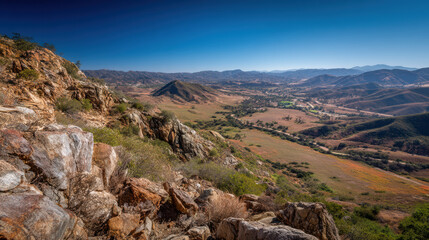 Scenic vista from a rocky hillside overlooks a vast valley floor speckled with green vegetation under a clear blue sky on a sunny day in Southern California.