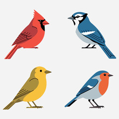 Bird vector file free on white board