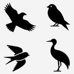 Elegant silhouette hummingbird vector