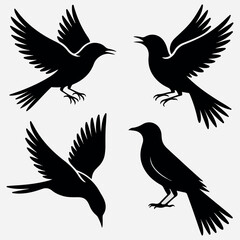 A humming bird silhouette black vector artwork illustration