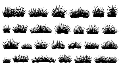 Variety of Diverse Grass Sprouts and Natural Foliage for Landscape Design