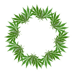 Vector cannabis leaf wreath in a dense circular ring on white background. Suitable for medical cannabis and cbd product packaging and labels for use.