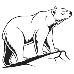 Obraz premium polar bear vector illustration