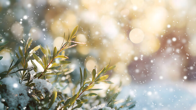 Stark unscharfer wei&szlig;er Winter-Hintergrund mit leuchtendem Glanz, Sonnenlicht, Schneeflocken und schneebedeckten Tannenzweigen &ndash; festliche Weihnachts- und Neujahrsstimmung mit viel Freiraum