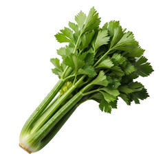 Fresh Green Celery Stalks with Leaves Isolated on White Background