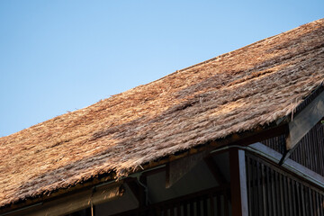 Thatch roof construction techniques in rural areas a close-up craftsmanship and materials