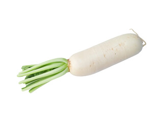 A single daikon radish stretches across a white backdrop, its smooth ivory skin and leafy green crown evoking freshness, simplicity, and the earthy charm of Asian cuisine.