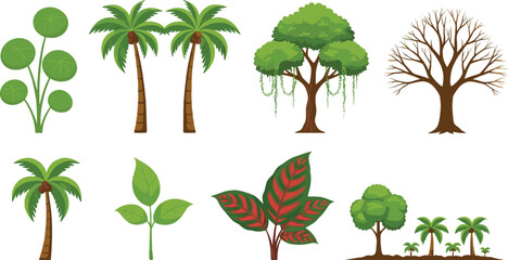 Tree and plant illustration collection featuring palm trees, leafy plants, tropical vegetation, and seasonal trees illustrated in colorful flat vector style isolated on white background © MdAbdul
