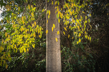 Paisaje de oto&ntilde;o