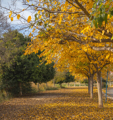 Paisaje de oto&ntilde;o