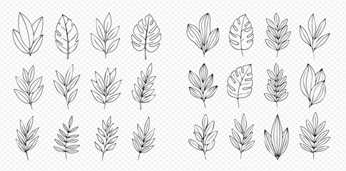 Set of hand-drawn outline leaves and branches, botanical elements for design projects. © Akun