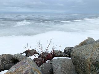 The shore of the White (Beloe) Lake near the city of Belozersk in the Vologda region in winter
