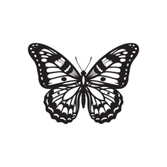 Fototapeta premium Beautiful butterfly illustration on white background