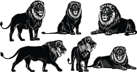 Lion vector illustration, black and white lion poses, majestic male lion artwork, wildlife sketch, animal drawing, lion silhouette, stock design © Creative World