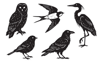 Obraz premium Diverse Wild Bird Silhouettes