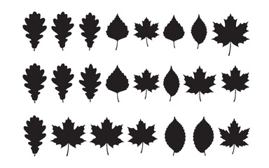 autumn Leaf Silhouettes Nature Foliage Set