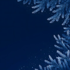 winter background with fir branches