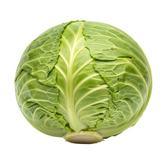Obraz premium Fresh Cabbage Head for Kitchen Use 