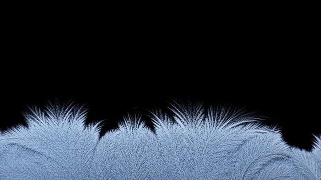 Frost patterns emerge and transform on black background in mesmerizing sequence