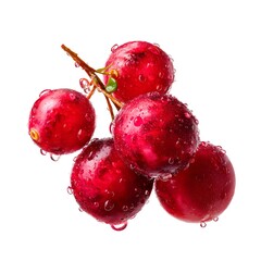 Fresh cranberry with a water droplet isolated on a white background.
