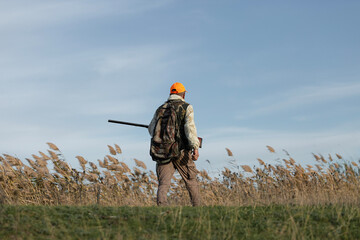 A hunter in camouflage clothing with a gun in his hands walks along the reeds.