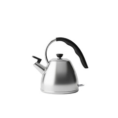 Modern stainless steel tea kettle