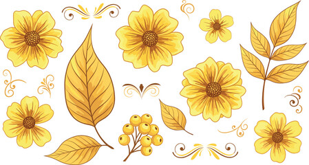 Hand drawn autumn floral set featuring yellow cosmos flowers golden leaves berries and decorative swirls for Thanksgiving and harvest celebration design © Md