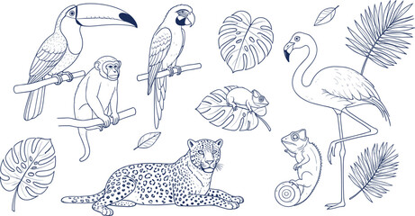 Set of tropical jungle animals and exotic birds featuring line art illustrations of toucan flamingo leopard parrot and monkey for nature travel branding © Md