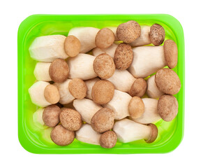 king oyster mushroom path isolated on white top view