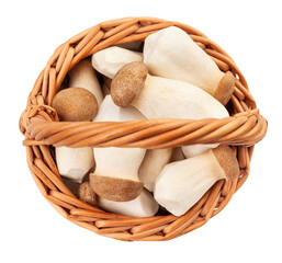 king oyster mushroom path isolated on white top view