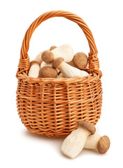 king oyster mushroom path isolated on white