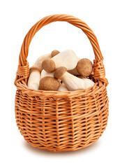 king oyster mushroom path isolated on white