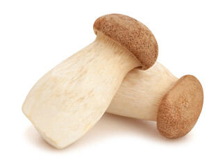 king oyster mushroom path isolated on white