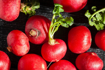 radish group on black wood background