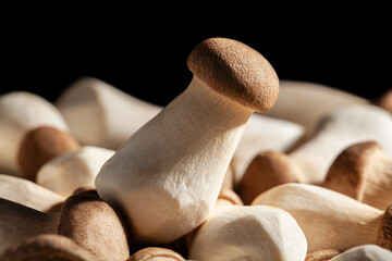 king oyster on black background