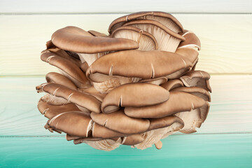 oyster mushrooms on wood background top view