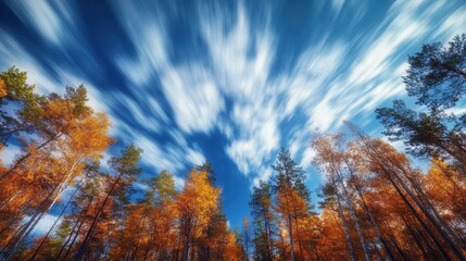 Breathtaking Autumn Forest Landscape Under Dramatic Cloudy Sky