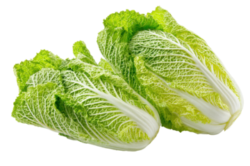 Two fresh napa cabbages isolated on transparent background. Fresh napa cabbage duo healthy organic leafy vegetable food isolated on white background.