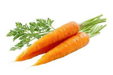 Two fresh carrots with green tops isolated on transparent background. Fresh orange carrots with green tops isolated on white background.