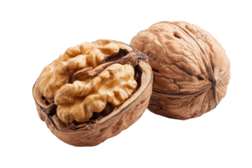 Two whole walnuts with one cracked isolated on transparent background. Close-up of a fresh walnut split open revealing intricate kernel patterns isolated on white background.