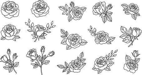 Fototapeta premium black line drawings of roses and rosebuds with leaves on white background