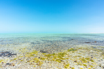 Picturesque bright tropical seascape with clear blue water, shallow rocky beach, and azure sky