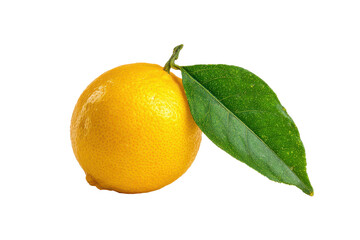Fresh yellow lemon with green leaf isolated on transparent background. Fresh yellow lemon with green leaf isolated on white background.