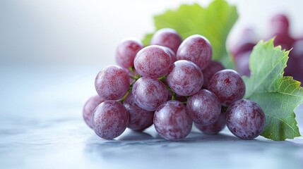 Ripe grapes with green leaves
