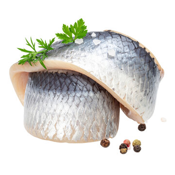 Surstr&ouml;mming, the notorious swedish fermented herring in its characteristic can, captured for display isolated on a plain white background
